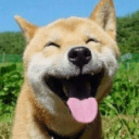 kevin午告雖 profile avatar